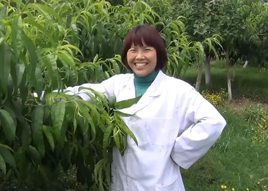 幸福農場中的幸福事