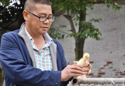 小苗定制上孵打開(kāi)致富之門(mén)