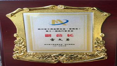 雷文勇再次當(dāng)選四川省商會(huì)副會(huì)長(zhǎng)