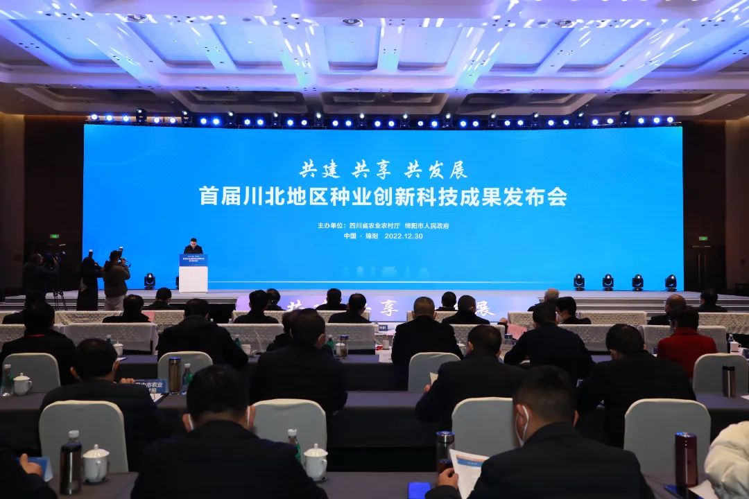 我國(guó)首個(gè)自主知識(shí)產(chǎn)權(quán)生豬品種是如何誕生的？